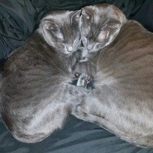 Meet your Posher, Scott